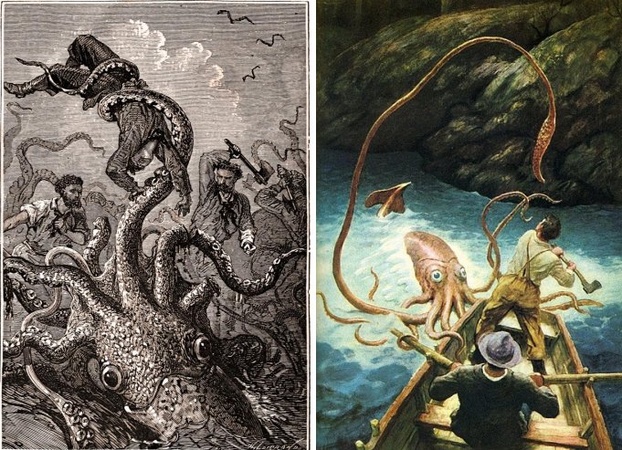 Legendary Giant Squid’s Genome Revealed – Why Is It So Scarily Big?