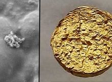 Looks amazingly similar to a real nugget: 18-​carat gold with latex as the base material. (Photograph: ETH Zurich / Peter Rüegg)
