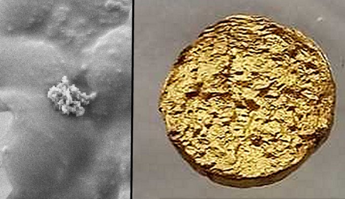 Looks amazingly similar to a real nugget: 18-​carat gold with latex as the base material. (Photograph: ETH Zurich / Peter Rüegg)