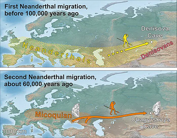 Siberian Neanderthals Were Intrepid Nomads – They Started Their Journey In Eastern Europe