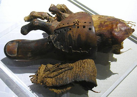 Prosthetic toe from ancient Egypt. Credits: Jon Bodsworth