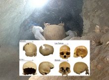 Early North Americans Much More Diverse Than Previously Believed