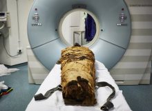 Voice Belonging To 3,000-Year-Old Egyptian Mummified Priest - Recreated