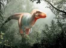 Thanatotheristes degrootorum was around eight meters long and hunted around 80 million years ago. Illustration: Julius Csotonyi 