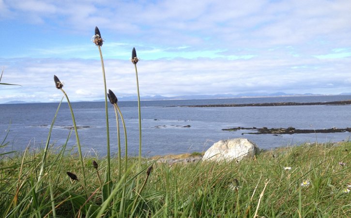 Plants Could Survive Climate Change Because They Break Rules Of Ecology – Surprising Discovery