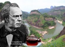 Robert Fortune's Dangerous Mission To Obtain Tea From The Chinese