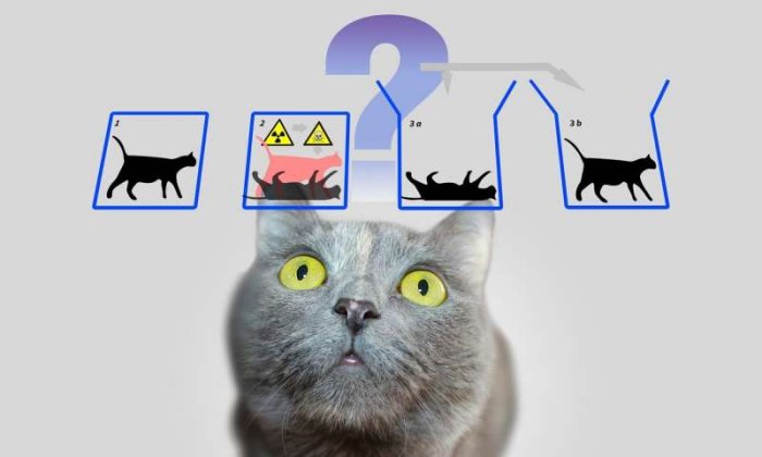 New Approach To Solve Paradox Of Schrödinger's Cat