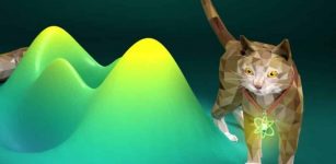 New Approach To Solve Paradox Of Schrödinger's Cat