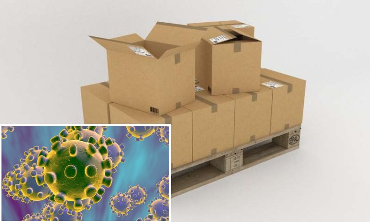 Can The Coronavirus Really Live For 3 Days On Plastic?