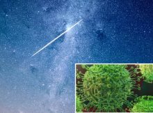 Coronavirus Came From Space And Strong Winds Are Spreading The Disease – Professor Says