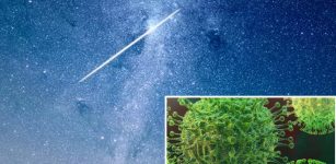 Coronavirus Came From Space And Strong Winds Are Spreading The Disease – Professor Says