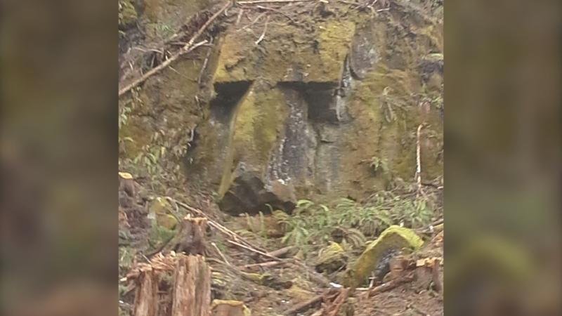 Mysterious Giant Rock Face Discovered On B.C's Central Coast - Natural Or Man-Made Structure?