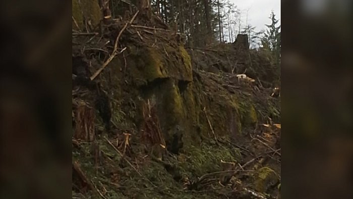 Mysterious Giant Rock Face Discovered On B.C's Central Coast - Natural Or Man-Made Structure?