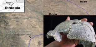 Gona, Ethiopia Discovery: Smallest 'Homo Erectus' Cranium In Africa And Stone Tools - Unearthed