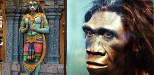 Hindu Monkey God Hanuman May Have Been Homo Erectus - Scientist Says