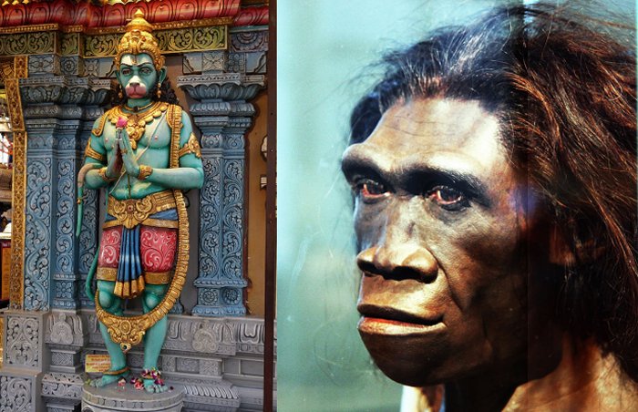 Hindu Monkey God Hanuman May Have Been Homo Erectus - Scientist Says