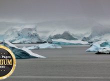 Scientists In Antarctica Encounter Something Very Strange