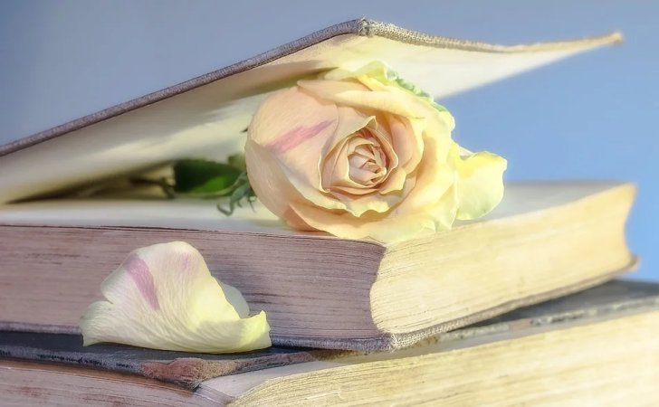 Smell Of Roses Improves Learning During Sleep