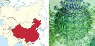 Scientists Warned China Of A Dangerous Virus Outbreak Like Coronavirus 12 Years Ago