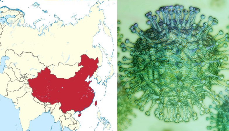 Scientists Warned China Of A Dangerous Virus Outbreak Like Coronavirus 12 Years Ago