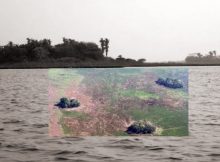 Amazonia's forest islands as seen from above.