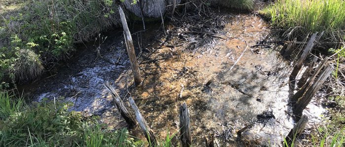 Levänluhta People Could Survive Fimbulwinter Thanks To Their Diverse Livelihoods