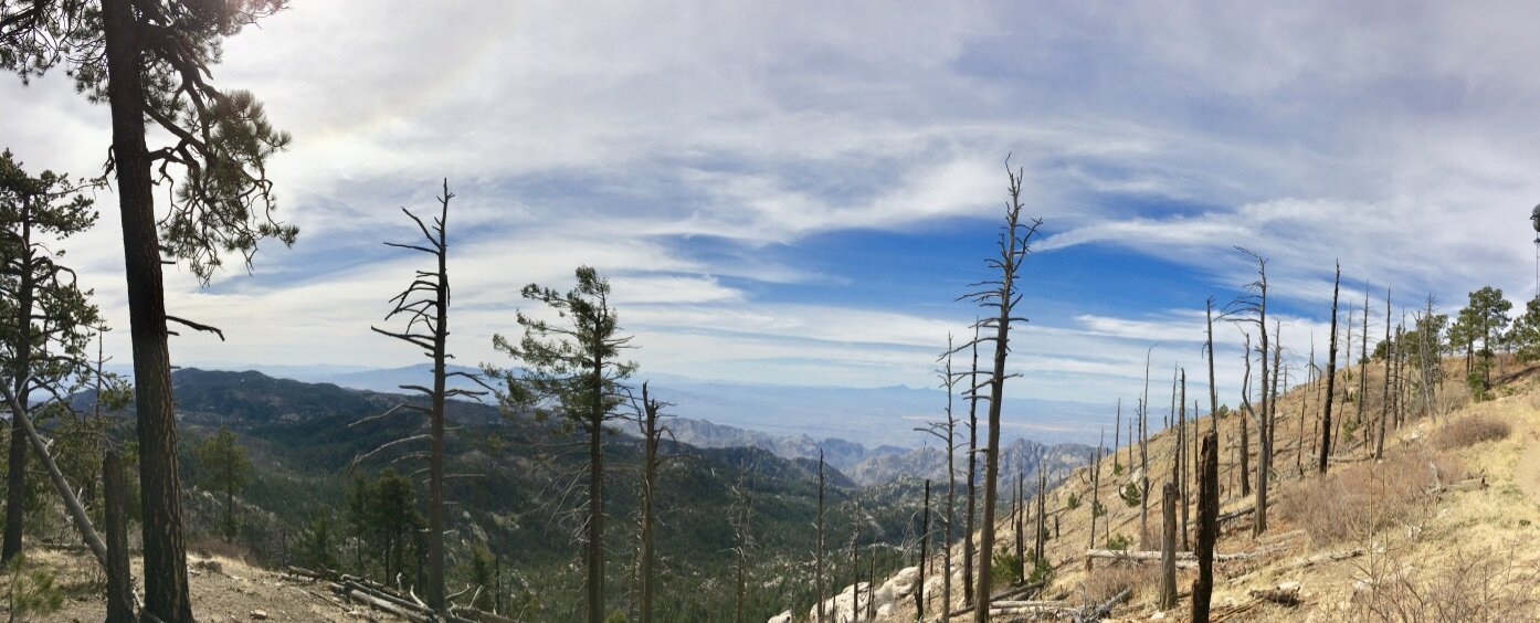 Climate-driven megadrought is emerging in western US