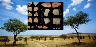 Pastoralism in Prehistoric Kenya and Tanzania