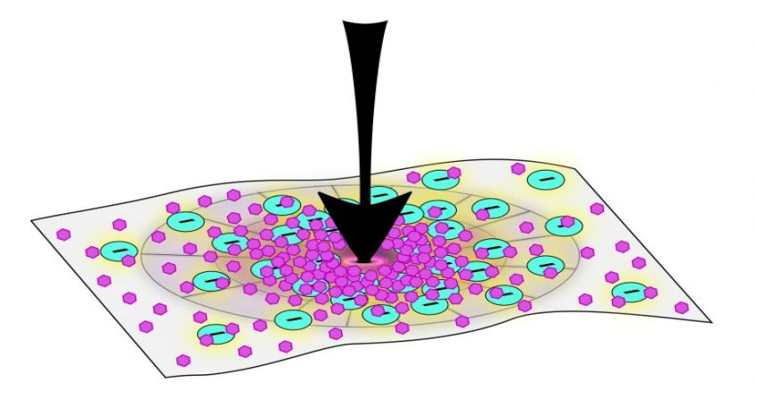 New Shapeshifting Material Inspired By Human Bone and Beautiful Coral Reefs Created