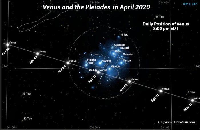 Watch A Rare Cosmic Event Tonight – Venus Encounter With The Pleiades 