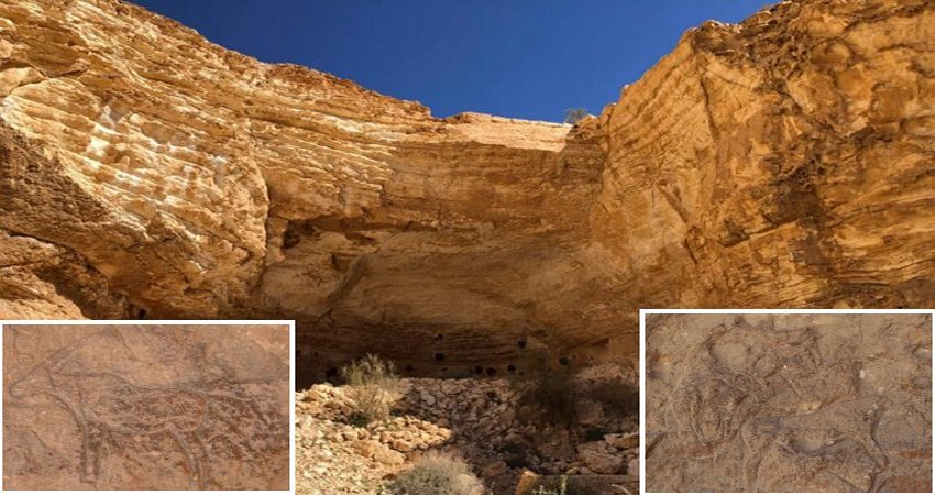 Remarkable Ancient Engravings Discovered In Unknown Cave In Sinai