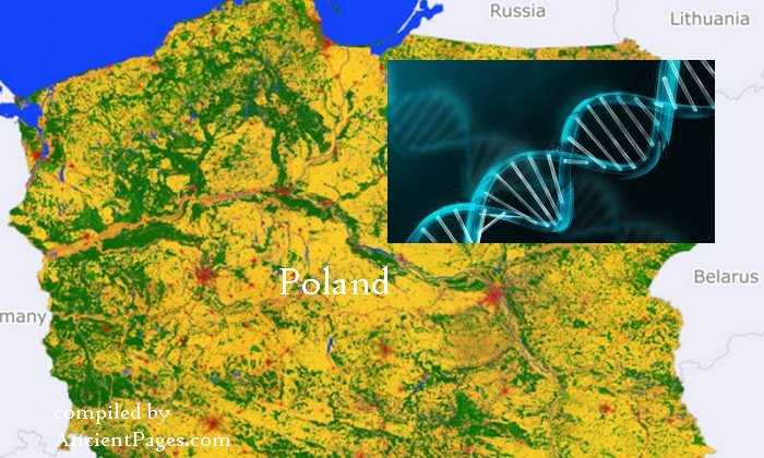 Bronze Age DNA Shows Direct Genetic Link To Current Inhabitants Of Southern Poland