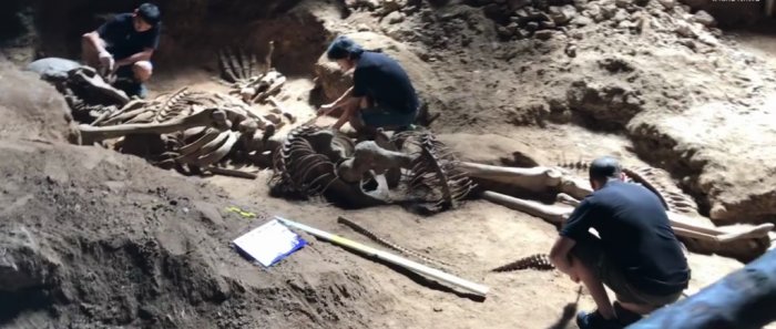 Ancient Giant Skeleton Discovered In Krabi Cave Confirms Legend Of The Nagas