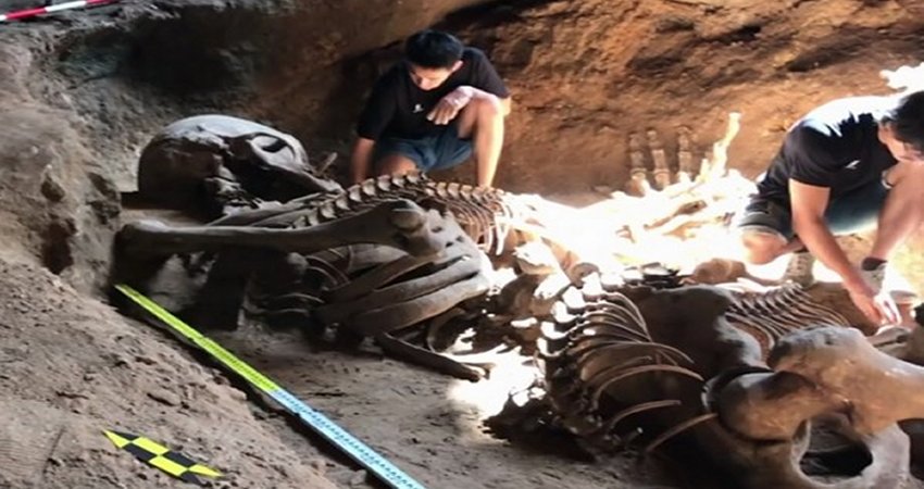 Ancient Giant Skeleton Discovered In Krabi Cave Confirms Legend Of The Nagas