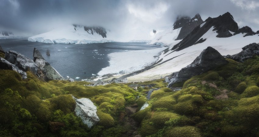 Antarctica Will Be Green Again – Scientists Say