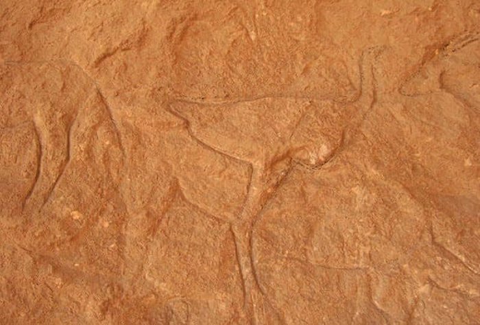 Remarkable Ancient Animal Engravings Discovered In Unknown Cave In Sinai