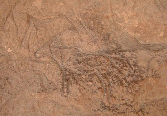 Remarkable Ancient Animal Engravings Discovered In Unknown Cave In Sinai