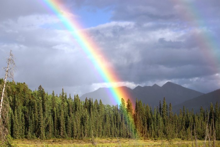 Rainbow Warriors - The Stars Are Calling And The Future Lies Within Your Hands