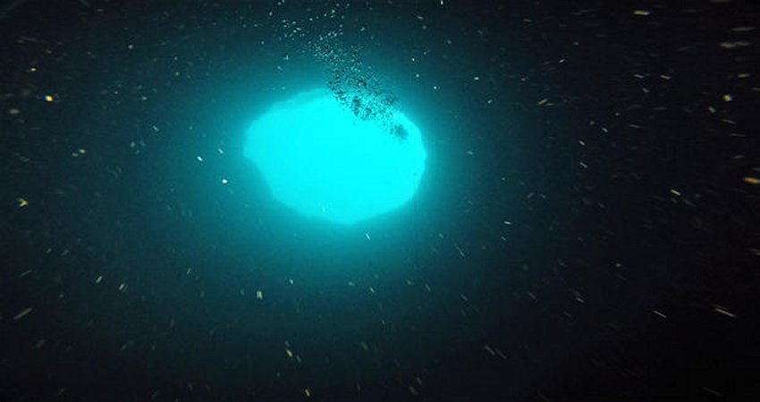 Journey To Green Banana - A Huge Mystererious Blue Hole Off Florida's Coast Where Scientists Look For Unknown Lifeforms