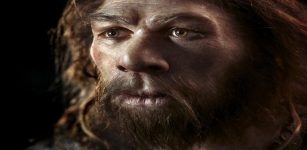 People With Neanderthals' Pain-Related Gene May Suffer More On A Daily Basis