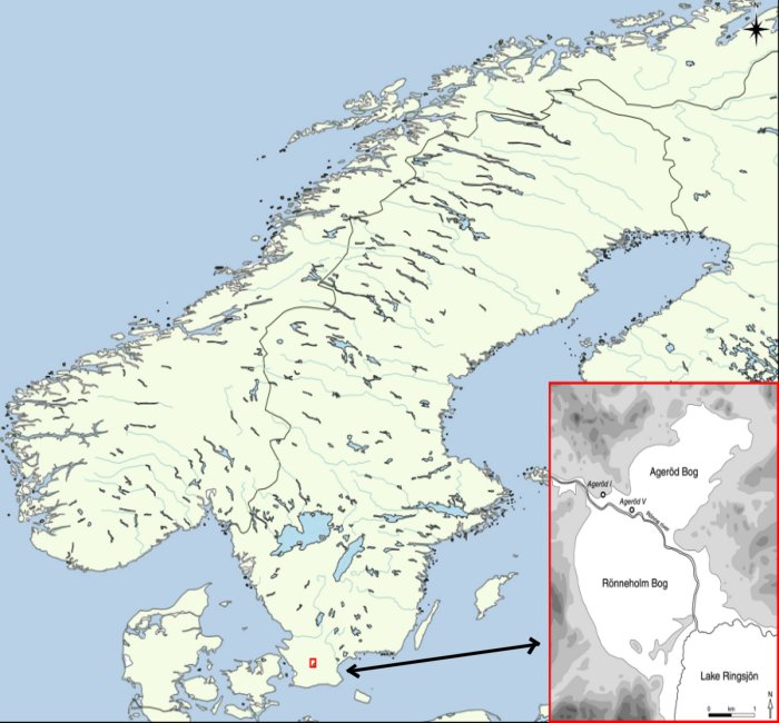 Accelerated Bone Deterioration At Mesolithic Peat Bog In Ageröd, Sweden