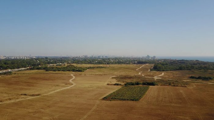 View of the Arsuf battlefield.