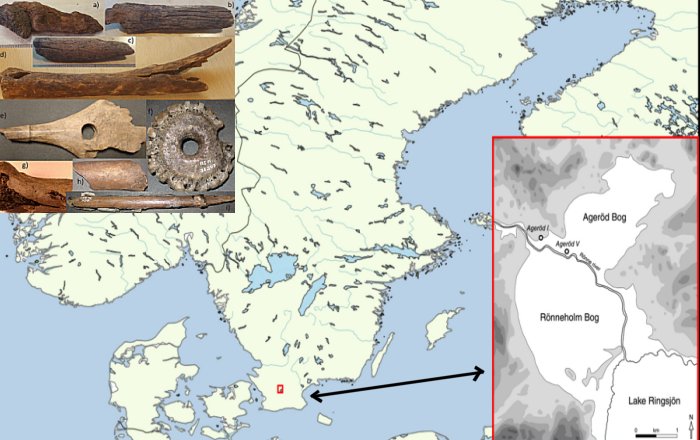 Accelerated Bone Deterioration At Mesolithic Peat Bog In Ageröd, Sweden
