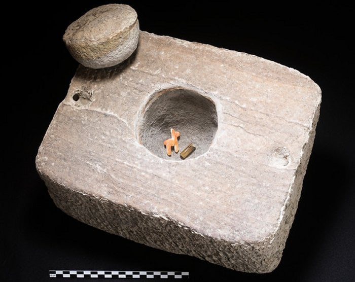 Stone Box With Ancient Shell Llama Offering Found In Lake Titicaca