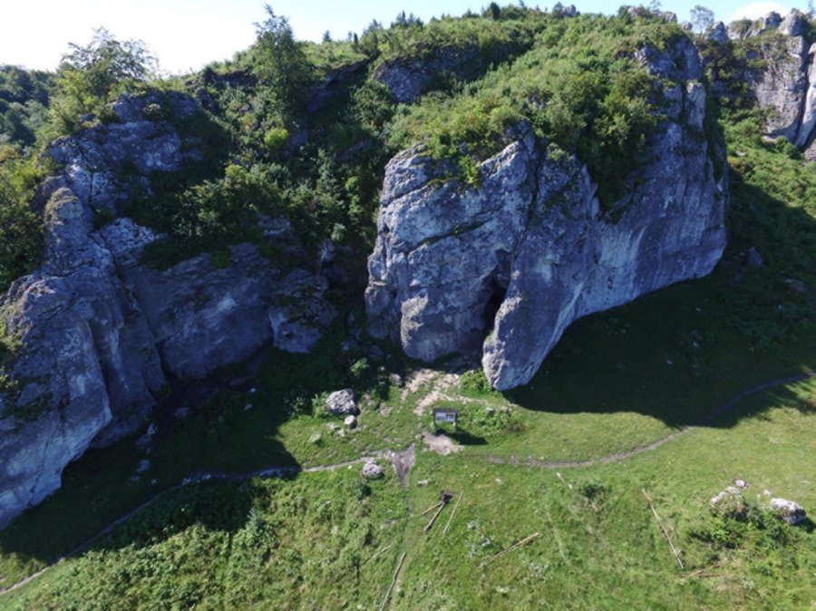 Extraordinary Find: The Oldest Neanderthal DNA Of Central-Eastern Europe