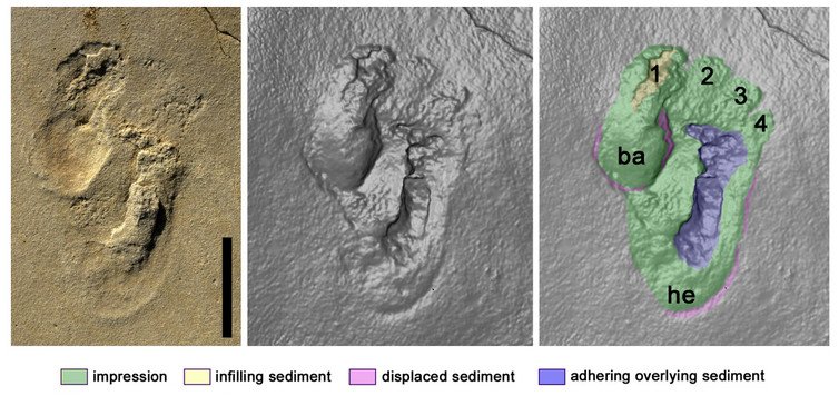 Advanced Non-Human Civilizations Could Have Lived On Earth Millions Of Years Ago– Scientists Say