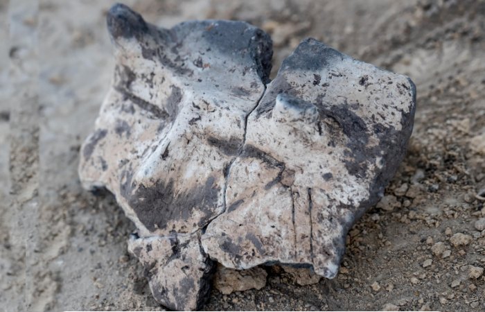 The 7,000-year-old jar shaped like a horned face was discovered in the remnants of a Neolithic house. Łukasz Gągulski/PAP