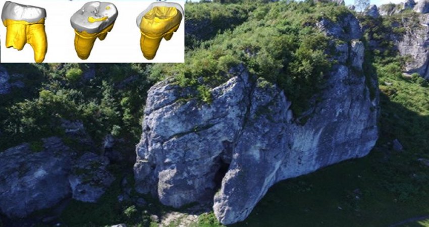 Extraordinaty FInd: The Oldest Neanderthal DNA Of Central-Eastern Europe