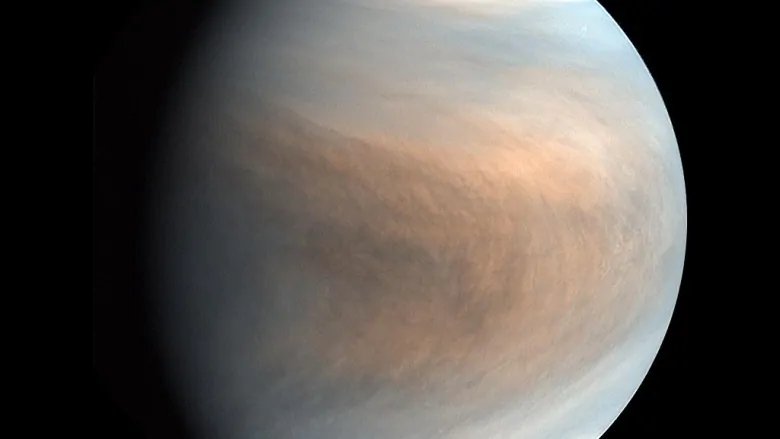 Signs Of Extraterrestrial 'Aerial' Life Found Inside Clouds On Venus - Shocking Discovery Astronomers Say