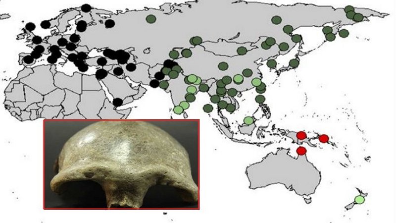 Denisovan DNA Found In The Genome Of Oldest Human Fossil Discovered In Mongolia
